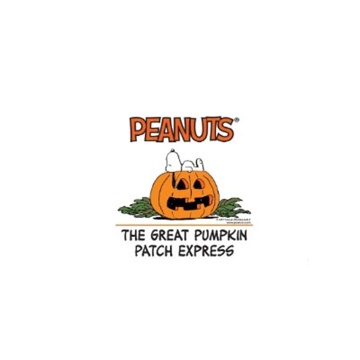 2024 The Great Pumpkin Patch Express